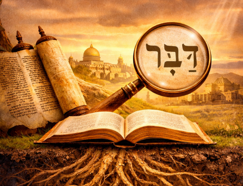 ALLE RADICI DELLA PAROLA – 1